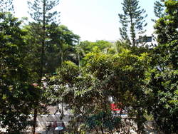 Blk 103 Bedok North Avenue 4 (Bedok), HDB 3 Rooms #178949022